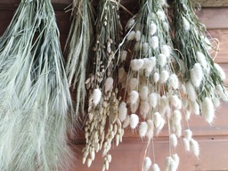 [TrGr1] Trockenblumen - Gräser